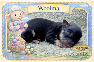 Woolma